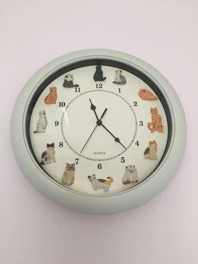 Cat Garden Family Apartments ריגה מראה חיצוני תמונה